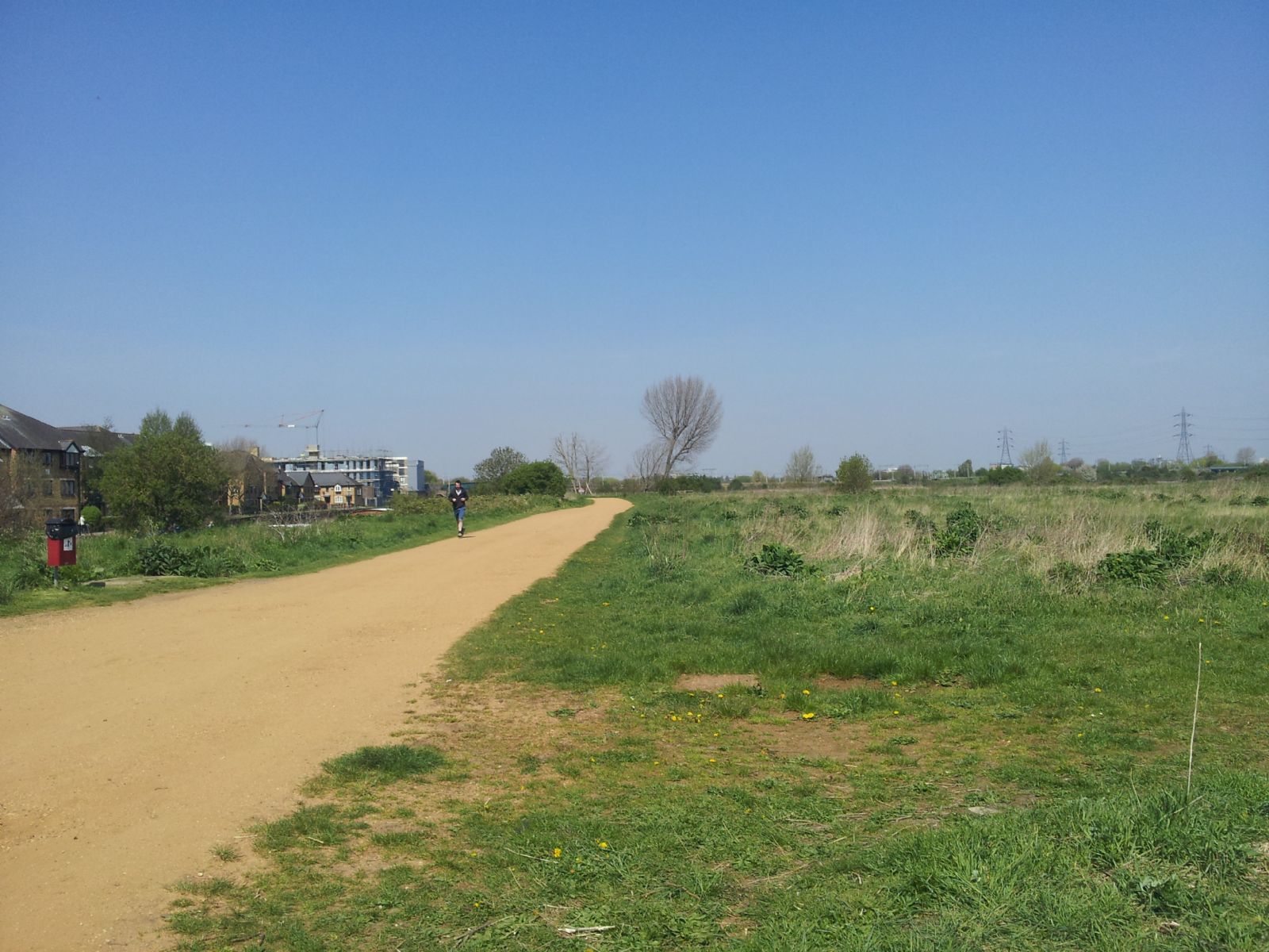 Walthamstow Marshes